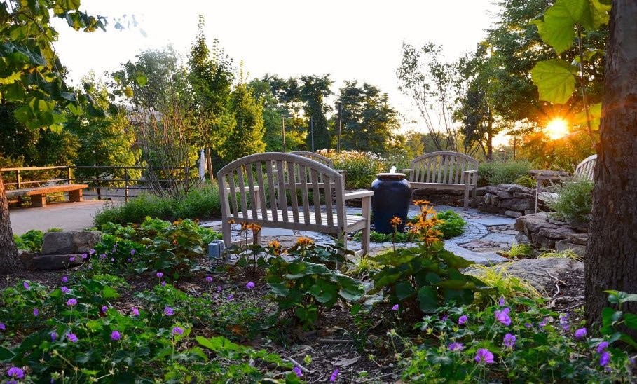 American University Arboretum and Gardens, United States